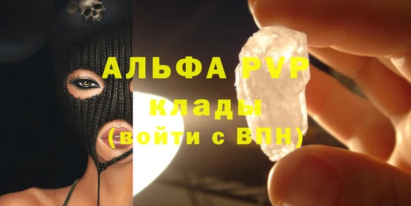 индика Арсеньев
