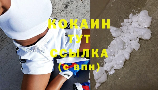 индика Арсеньев