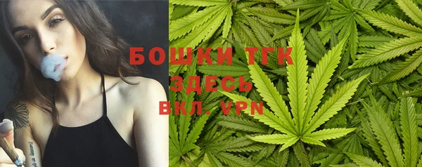индика Арсеньев