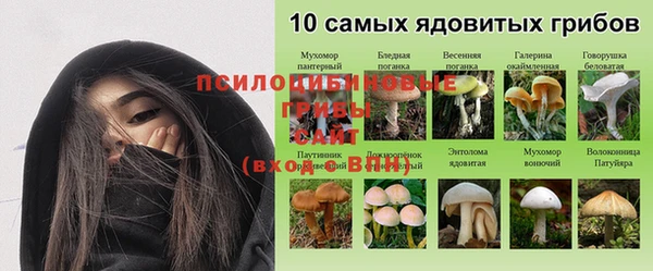 mix Аркадак