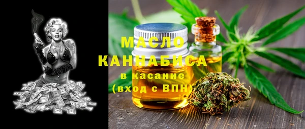индика Арсеньев