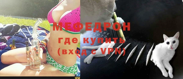 индика Арсеньев