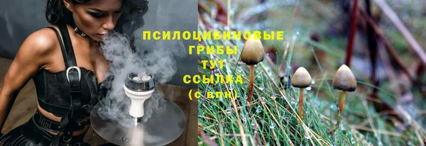 индика Арсеньев