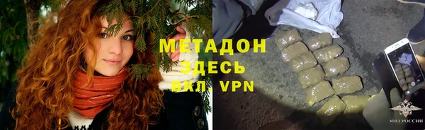индика Арсеньев