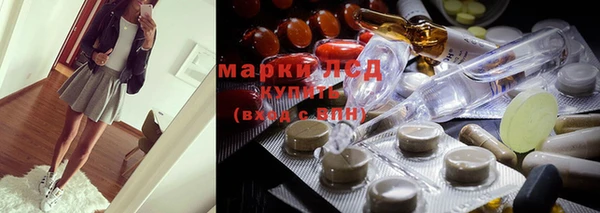 индика Арсеньев