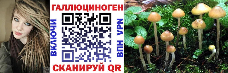 где купить наркоту  Нижний Ломов  Галлюциногенные грибы Cubensis 